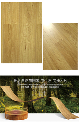 大自然强化地板【依云如风LC6606】名品主材包