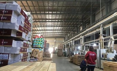 壹佰分地板浅谈智能制造之路,聚力品质提升