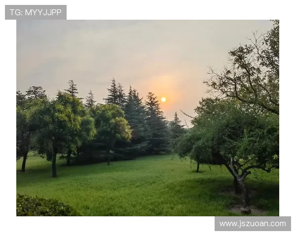 夏日暖洋洋：当阳光亲吻肌肤，生活自有芬芳